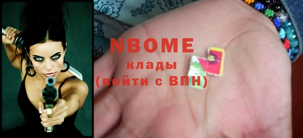 хмурый Верея