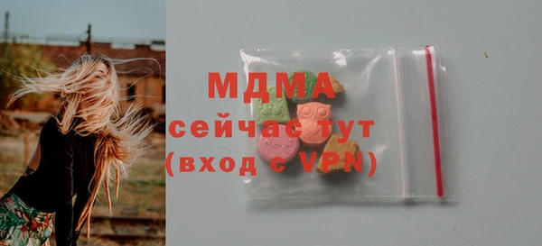 хмурый Верея