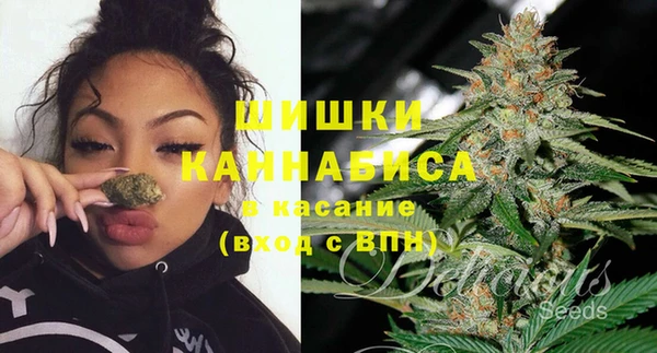 хмурый Верея