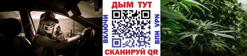 Шишки марихуана конопля  Томмот 